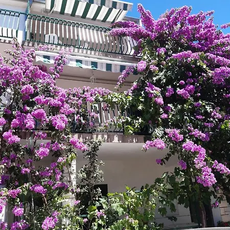 Mirjana Apartman Vodice Exterior photo